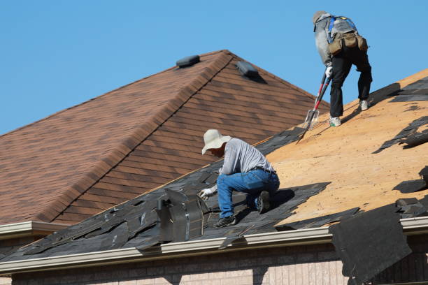 Reliable Daly City, CA Roofing services Solutions